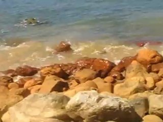 ALAÇAĞZI DENİZ KİRLİLİĞİ
