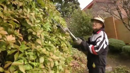 Tree Care Lynn Creek North Vancouver Timberline Tree ...