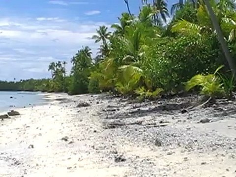 Plage paradisiaque à Tétiaroa...