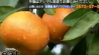 110724 EAT愛媛朝日テレビ アナログ放送停波の瞬間
