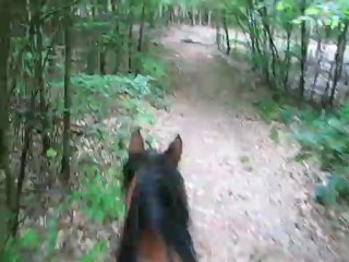 Balade petits chemins