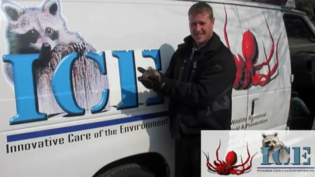Pest Control Thornhill North York ICE Pest Control & ...