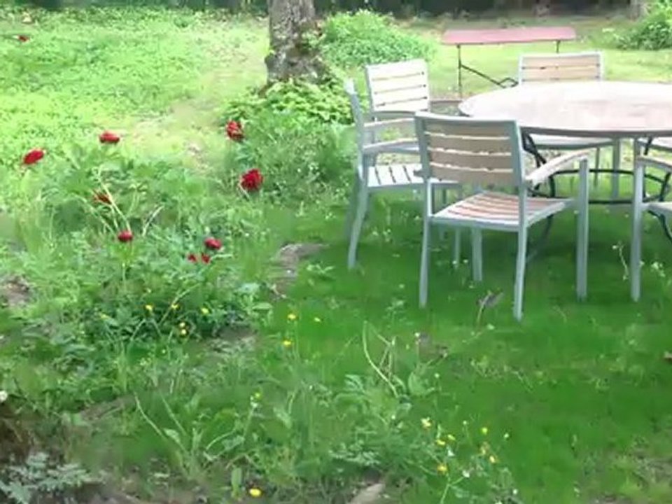 parc, chateau, devoluy, laric, chambres d hotes