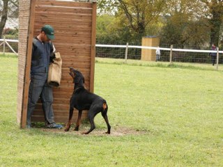 CERTIFICAT RCI DEFENSE PART I B