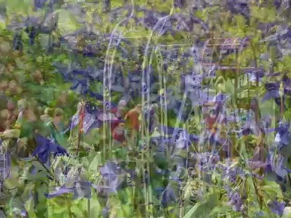 Beez Festival des Plantes mai 19, 2012