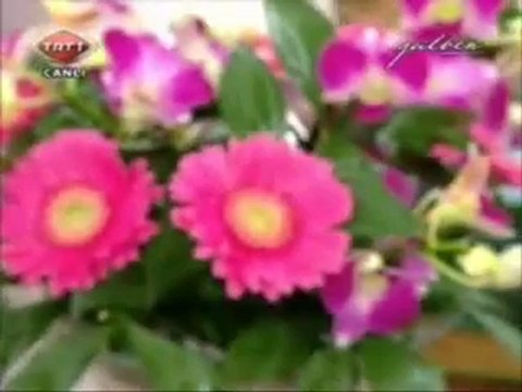 zara ve nurdan torun (düet)