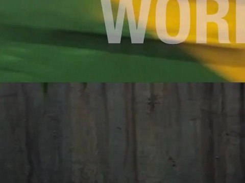 Strano ma vero un POLITICO dice la verità Il DEBITO non può essere pagato