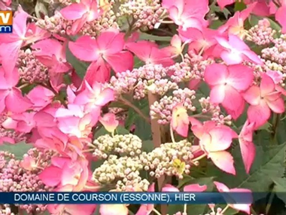 Le Château de Courson accueille les journées des plantes