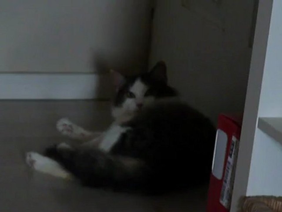 wally