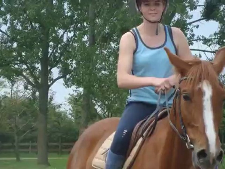 Foot-Basket-Poney Summ' & Is' - Obstacle Tai'