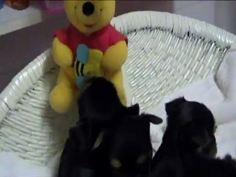 Bébés D'éden à 1 mois!