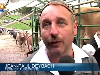 Mai, le mois des traditionnelles transhumances