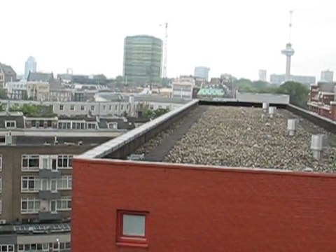 Rotterdam, Pays Bas : vue sur les toits