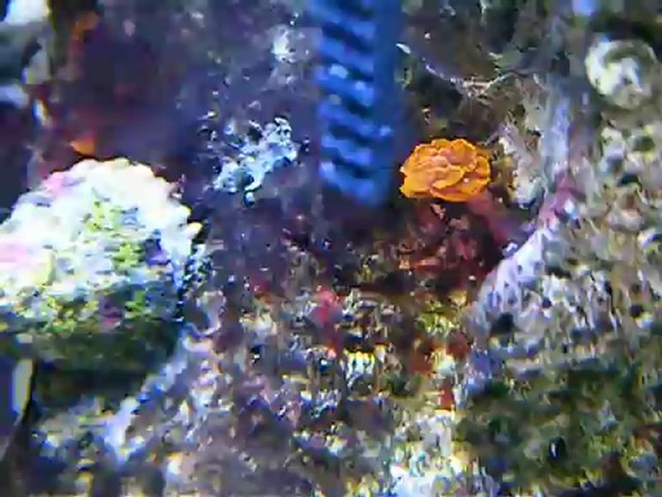 DSCF2827