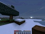 nouveaux server minecraft 1.2.5