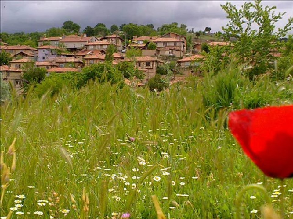 Burhan Köyü