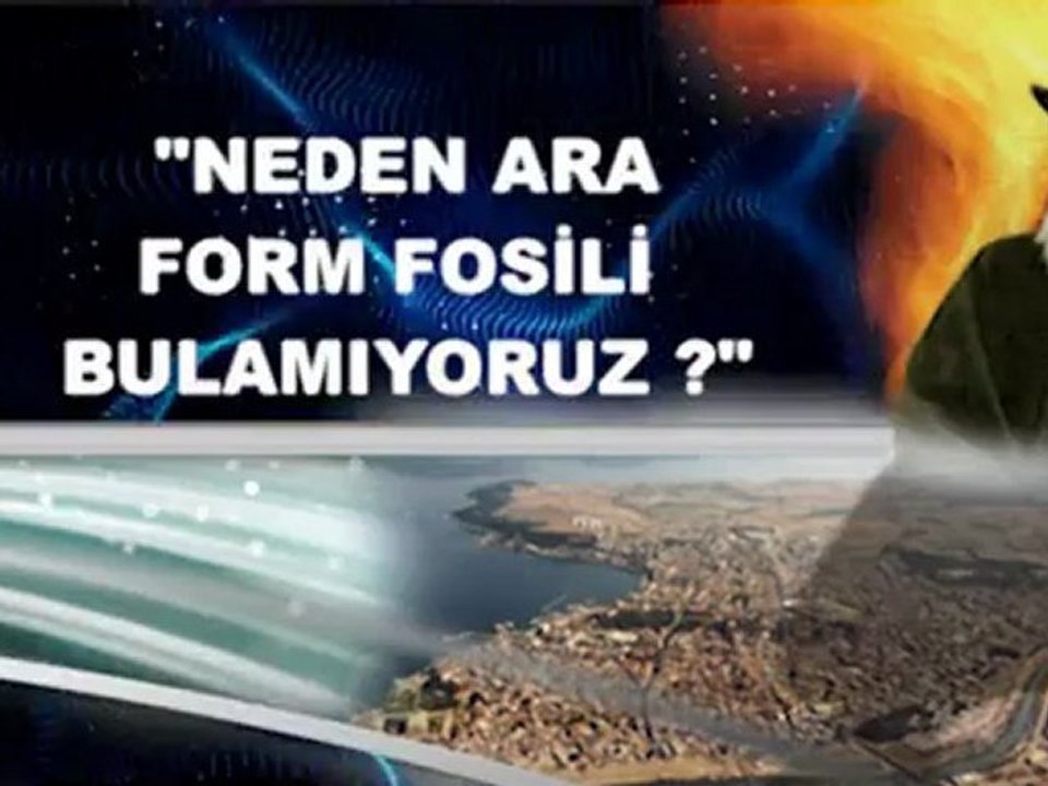 fosiller evrim yalan diyor