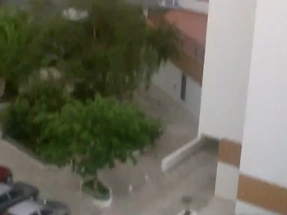 CLIP0003