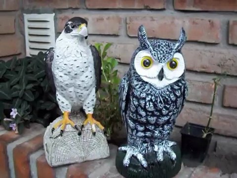 SEÑUELOS PARA AHUYENTAR PALOMAS