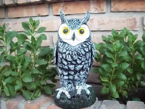 Buho Espanta Pájaros Ahuyenta Palomas