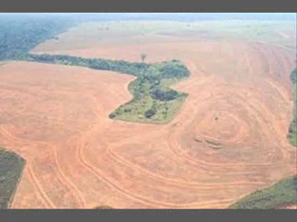 SOUNDS CHIMES SANSULA WHAT HAVE WE DONE