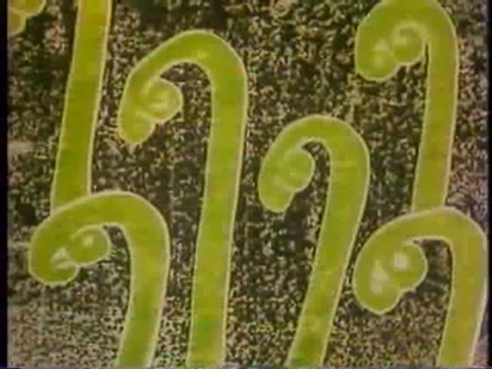 MNMB 赤い椀