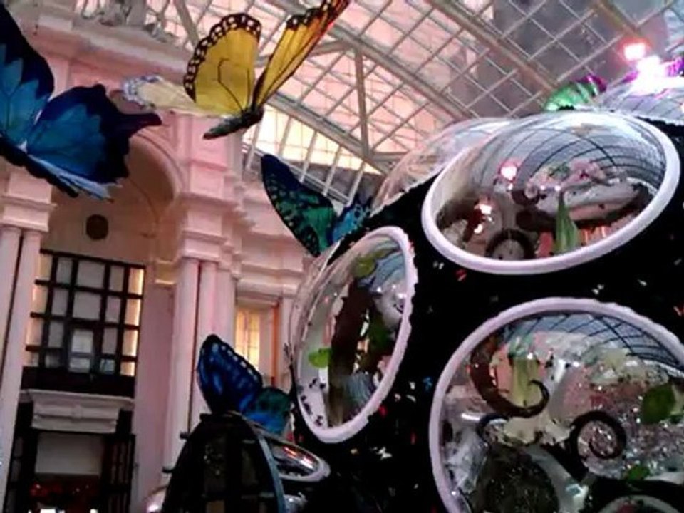 Butterfly pavilion at MGM Macau 2012May19