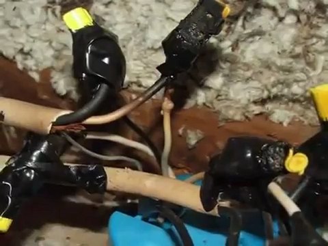 Whatcom County Relocation Inspections (Cherry Point Oil Refineries) King of the House Home Inspection