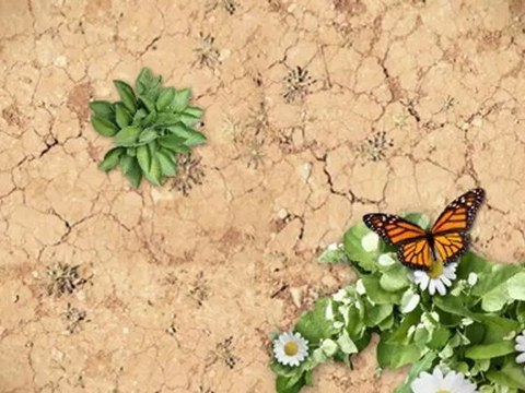 Discount Auto Parts - Quality Brands Excellent Costomer Srvice