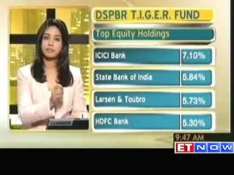 Investor's Guide - Dhirendra Kumar's view on DSPBR Tiger fund