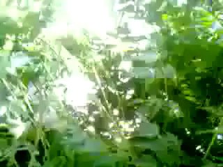 Syria فري برس حلب الجامعة  إعتقال طلاب أمام كلية الميكانيك 20 5 2012 Aleppo