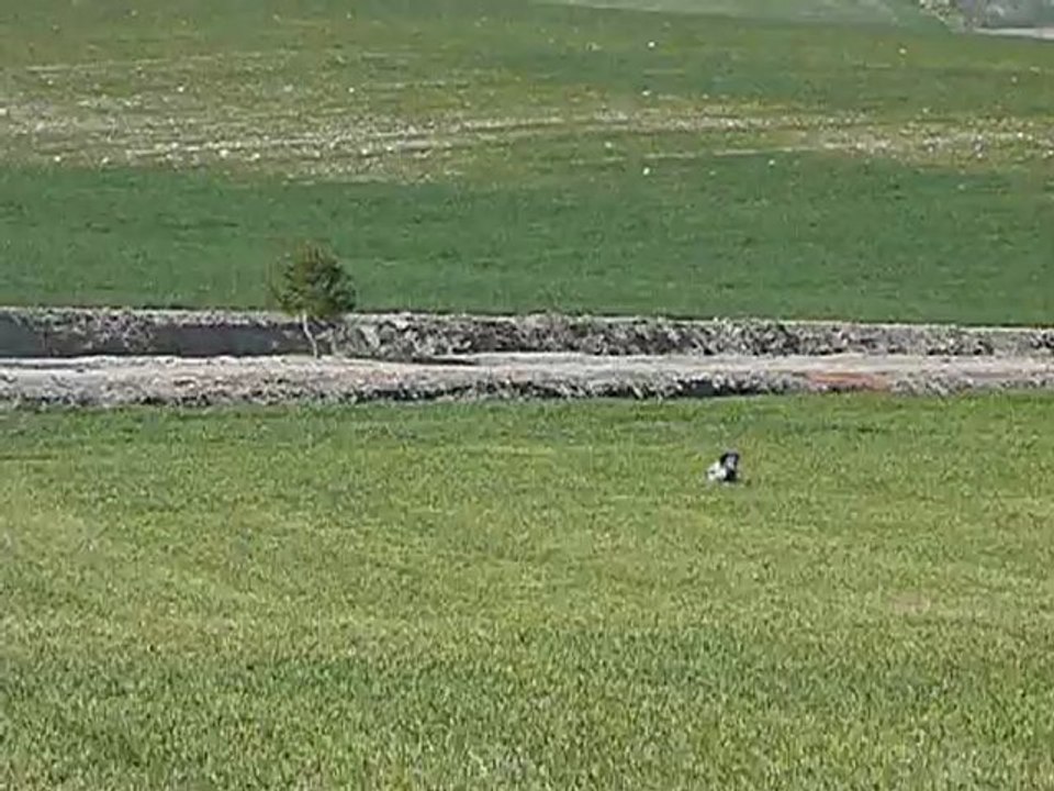 Entrainement de FLO en Andalousie. Février 2012