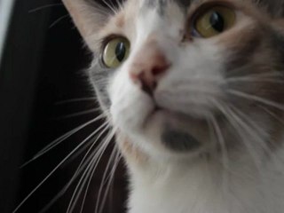 DINA PANCHITA UNA MAÑANA DE LUNES 21 DE MAYO DE 2012