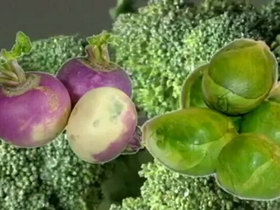 Cancer Fighting Foods- Master Herbalist Health