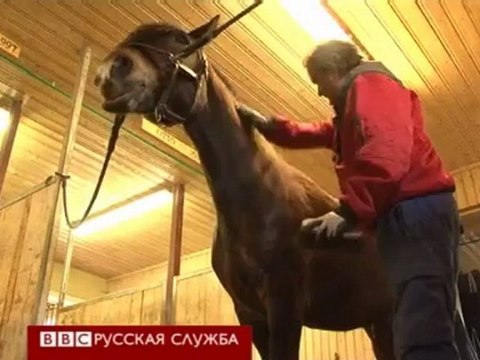 BBCRussian - Тюрьма с компьютерами и солнечным пляжем [H.264 360p]