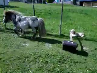 Princesse saut en liberte♥♥♥