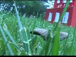 « Ma maison voyage sur mon quartier »