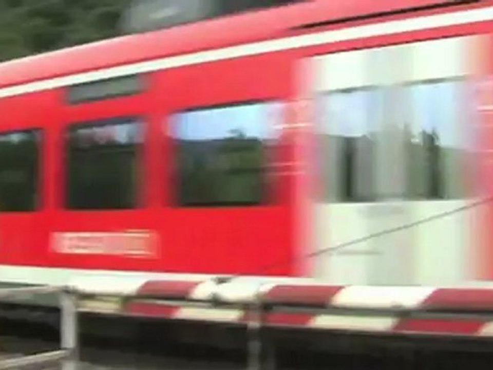 Züge zwischen Hammerstein und Leutesdorf, Captrain E186, BR152, 2x BR185, BR143, 3x BR425