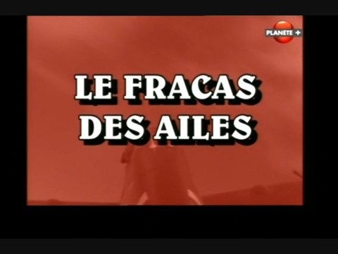 Le fracacs des ailes (Le prix de l'incompétence)