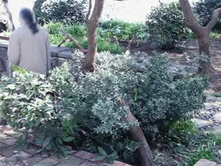 Aklan Akdağ - Diyemezsin