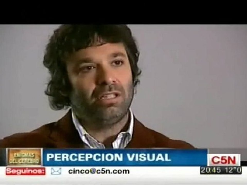 Percepcion visual: Mariano Sigman