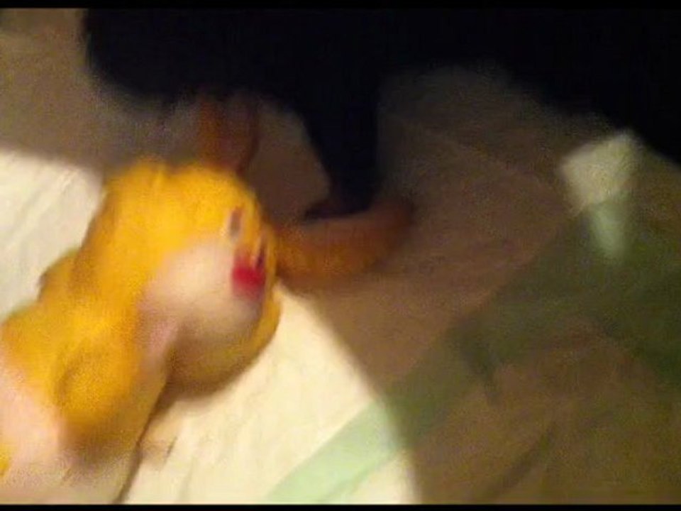 Henzo vidéo du 21.05.12