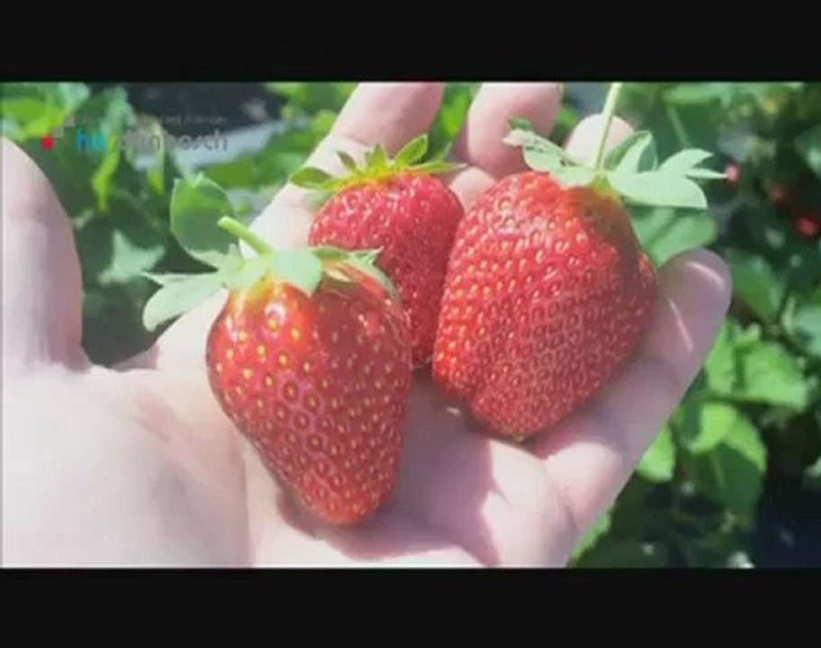 Horticulture & Business Management - Studieren an der ...