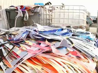 SNOWBOARDER PROS TO TAKE OVER WINDELLS SUMMER SESSIONS