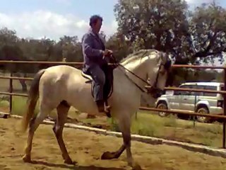 Náutico Mac paso y trote