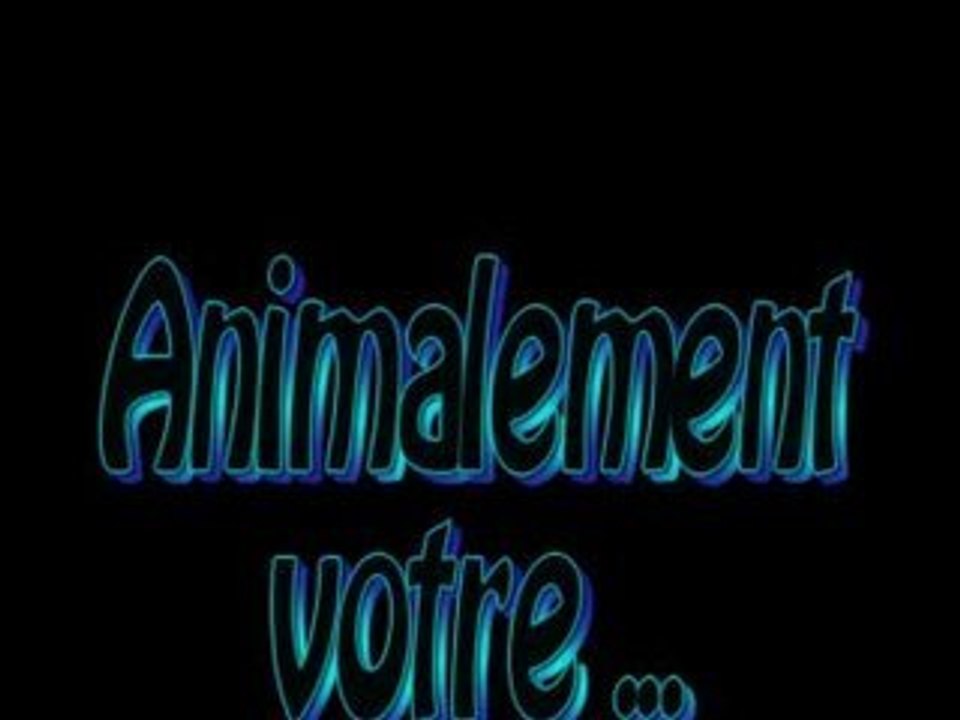 test video