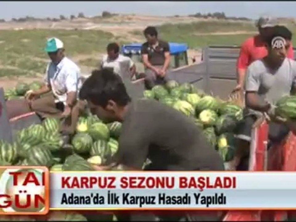 KARPUZ SEZONU BAŞLADI 18.05.2012