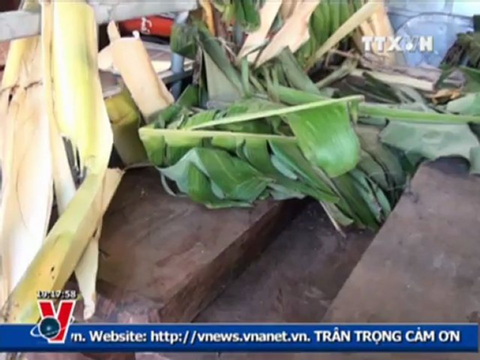 THỜI SỰ 19H 21.5.2012, TTXVN, VNEWS, VNA, TRUYỀN HÌNH THÔNG TẤN, TTXVN