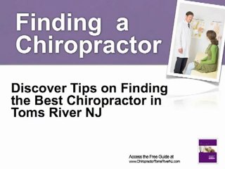 Chiropractor Toms River NJ