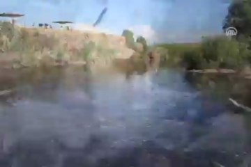 Van'da ''uçan balık'' zamanı